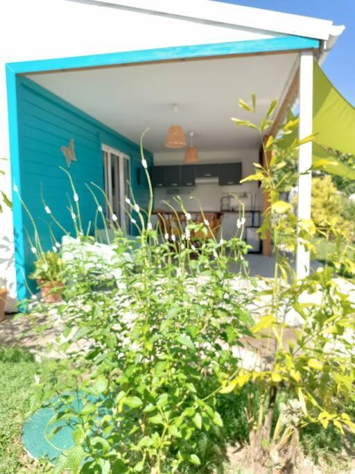 Tukusi Bungalow Le Moule Ngoại thất bức ảnh